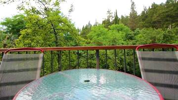 Фото номера Вилла с 3 спальнями Виллы Villa in Kutaisi, Near Sataplia Nature Reserve г. Gumbra 95